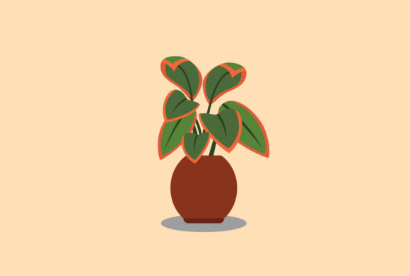 Aglaonema Decorative Plants Vector: A Modern Design Essential for Creatives and Professionals