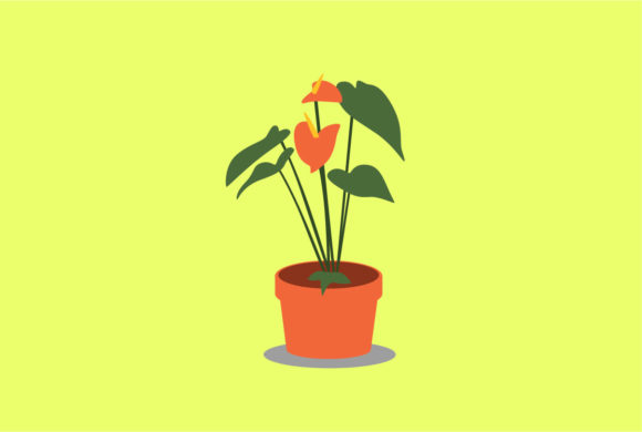 Anthurium Decorative Plants Vector: A Versatile Tool for Design and Decoration