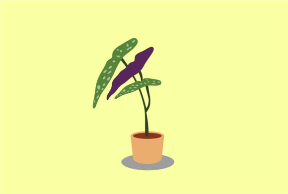 Begonia Decorative Plants Vector: A Versatile Asset for Modern Design and Creative Workflows
