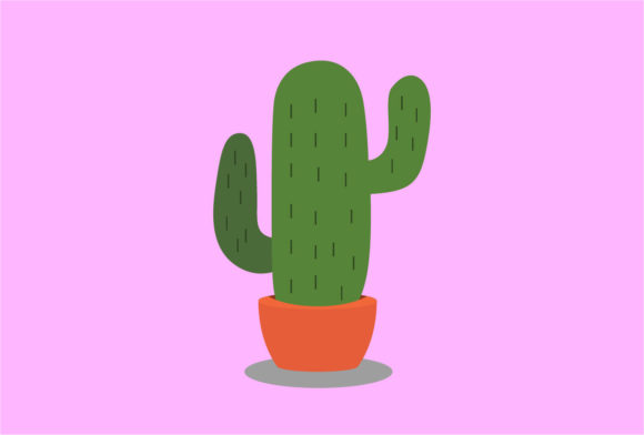 Cactus Decorative Plants Vector
