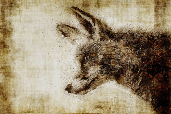 Decorative Animal Printables Pack 04
