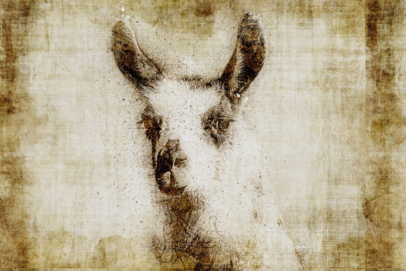 Decorative Animal Printables Pack 07: A Versatile and Creative Addition to Your Space