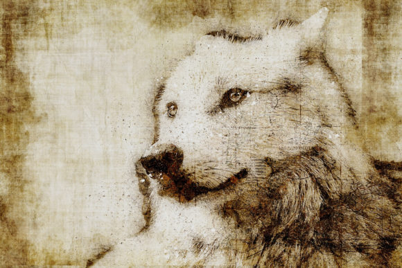 Decorative Animal Printables Pack 09: A Versatile Digital Art Solution