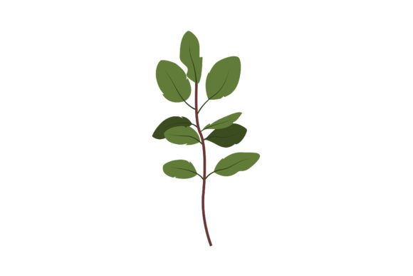Decorative Fresh Twig Illustration