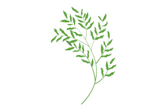 Decorative Green Leaf Illustration