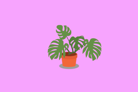 Monstera Decorative Plants Vector