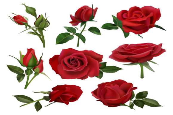 Realistic Decorative Roses Bouquet