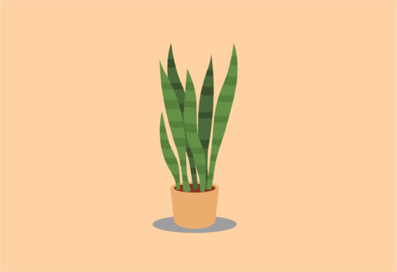 Sansevieria Decorative Plants Vector: Strategic Use for Design and Branding