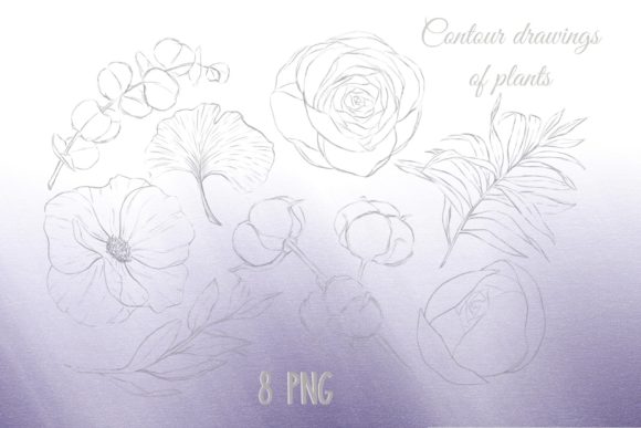 Set Decorative Elements Abstract Spots